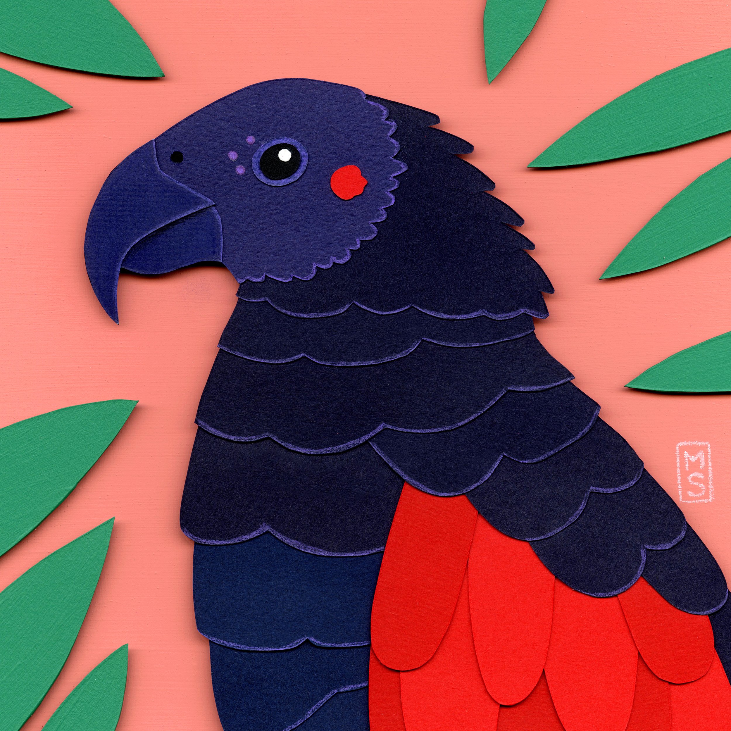 "Dracula Parrot"