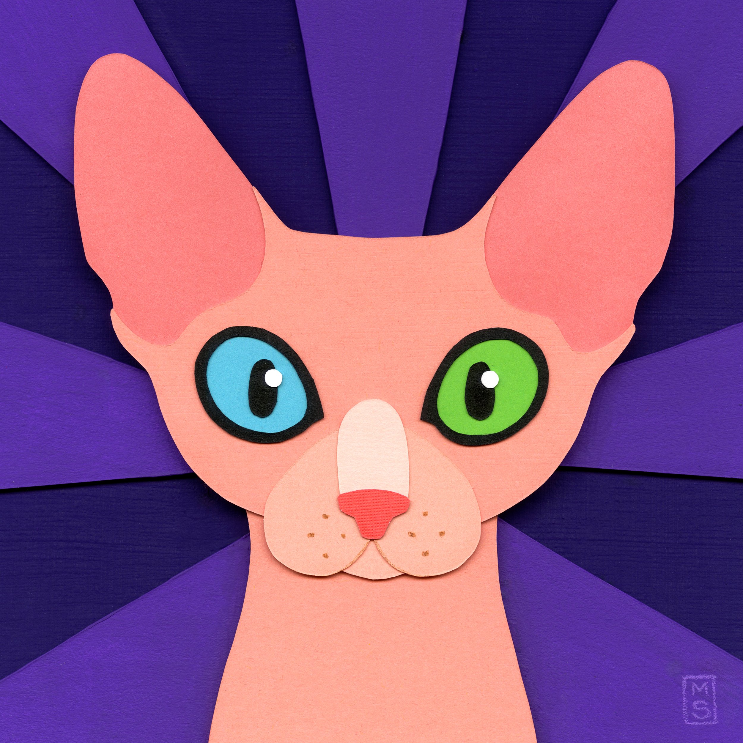 Cat-Jasper-sRGB.jpg