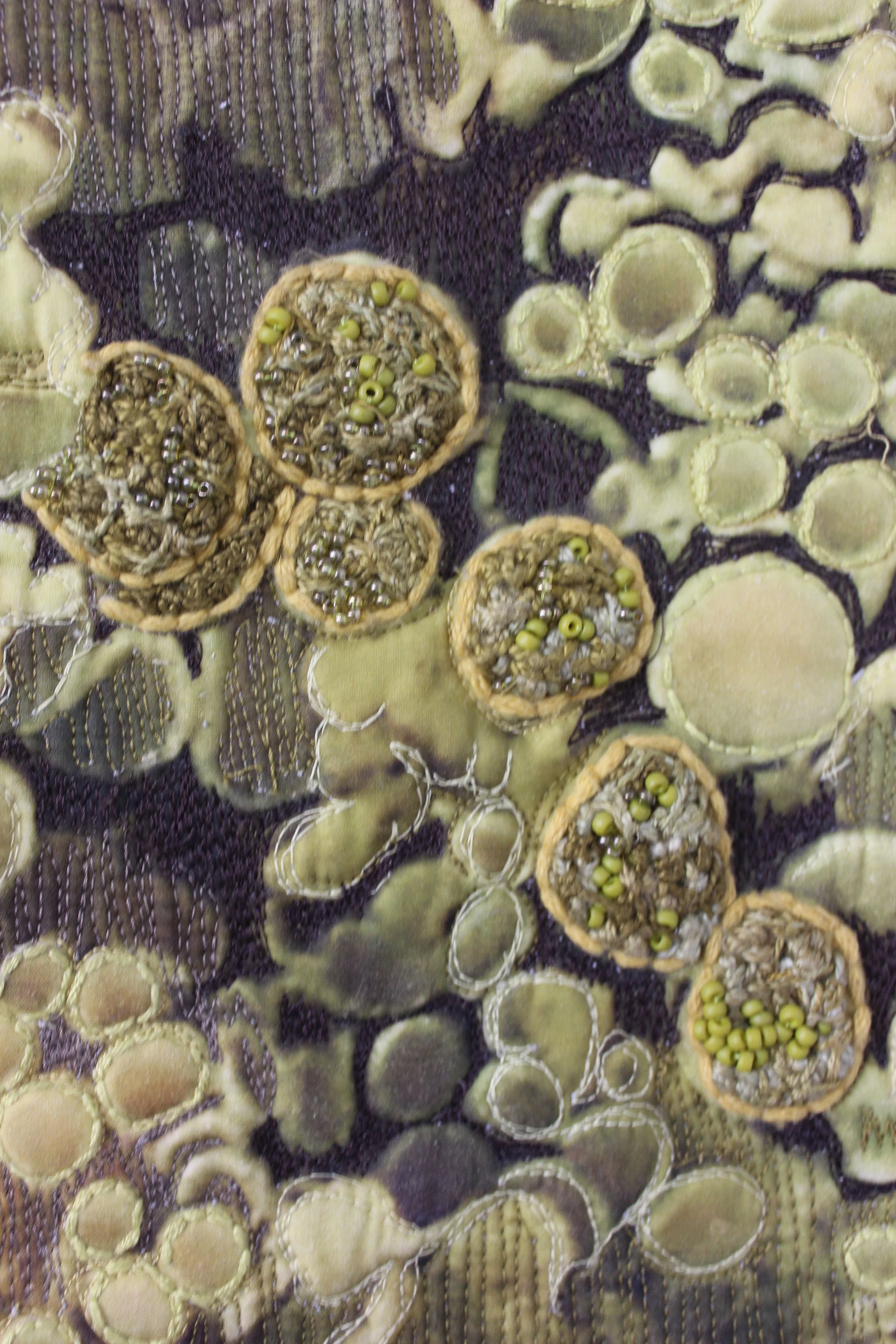 Lichen Detail1.jpg