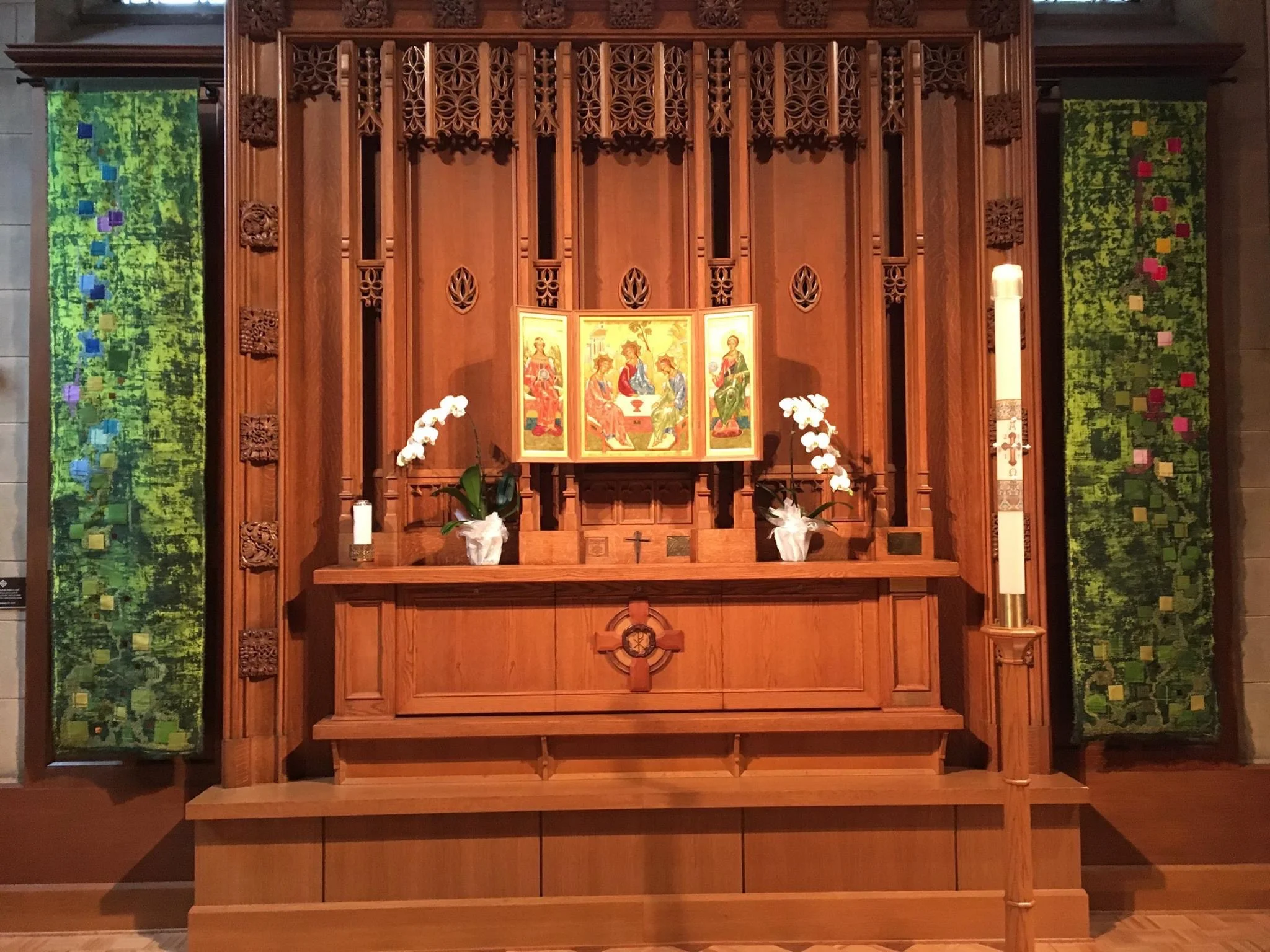 Blossoms on Display.jpg