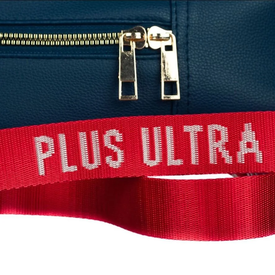 My Hero Academia Ita Bag 6.JPG