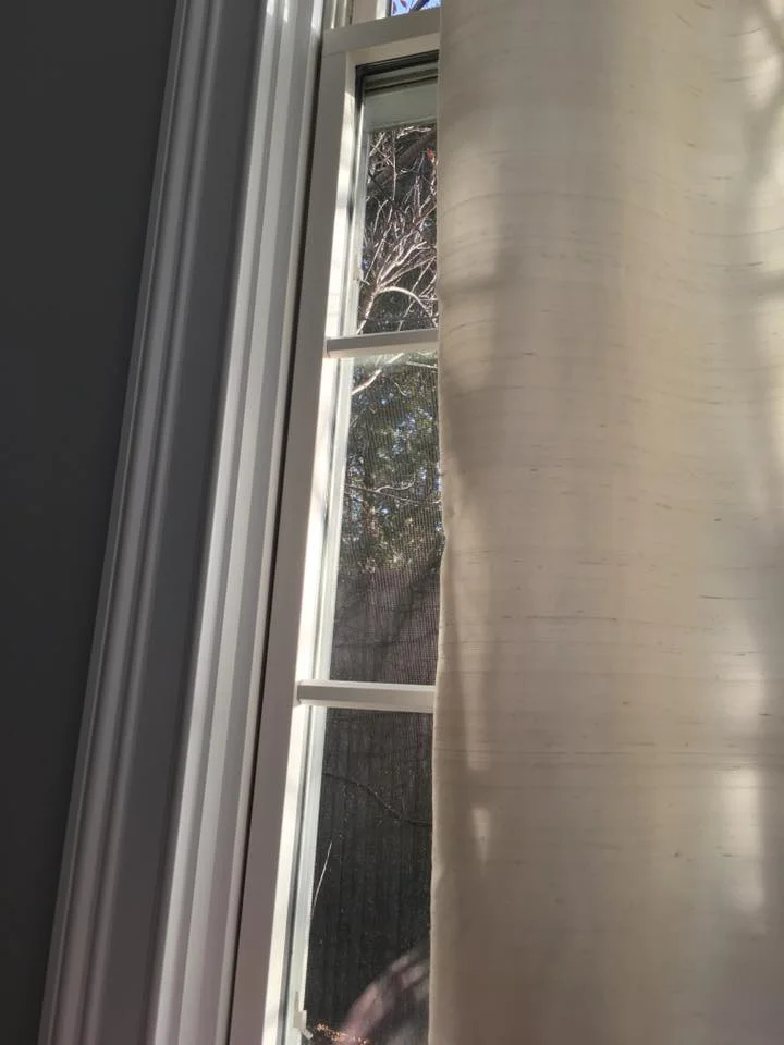 My Beautiful Cardinal...