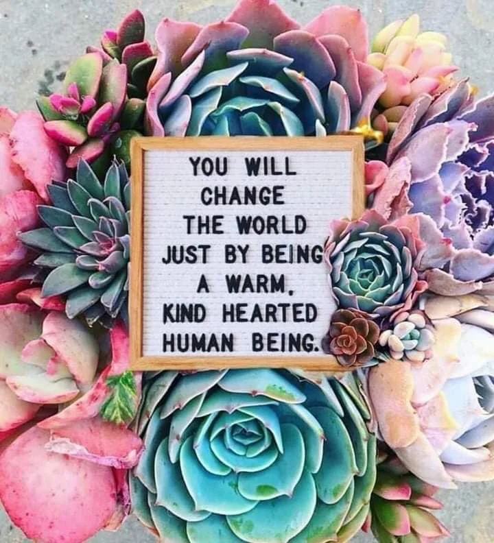 Donuts Solve Most Things...