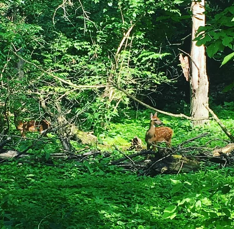 Connection is Everywhere...