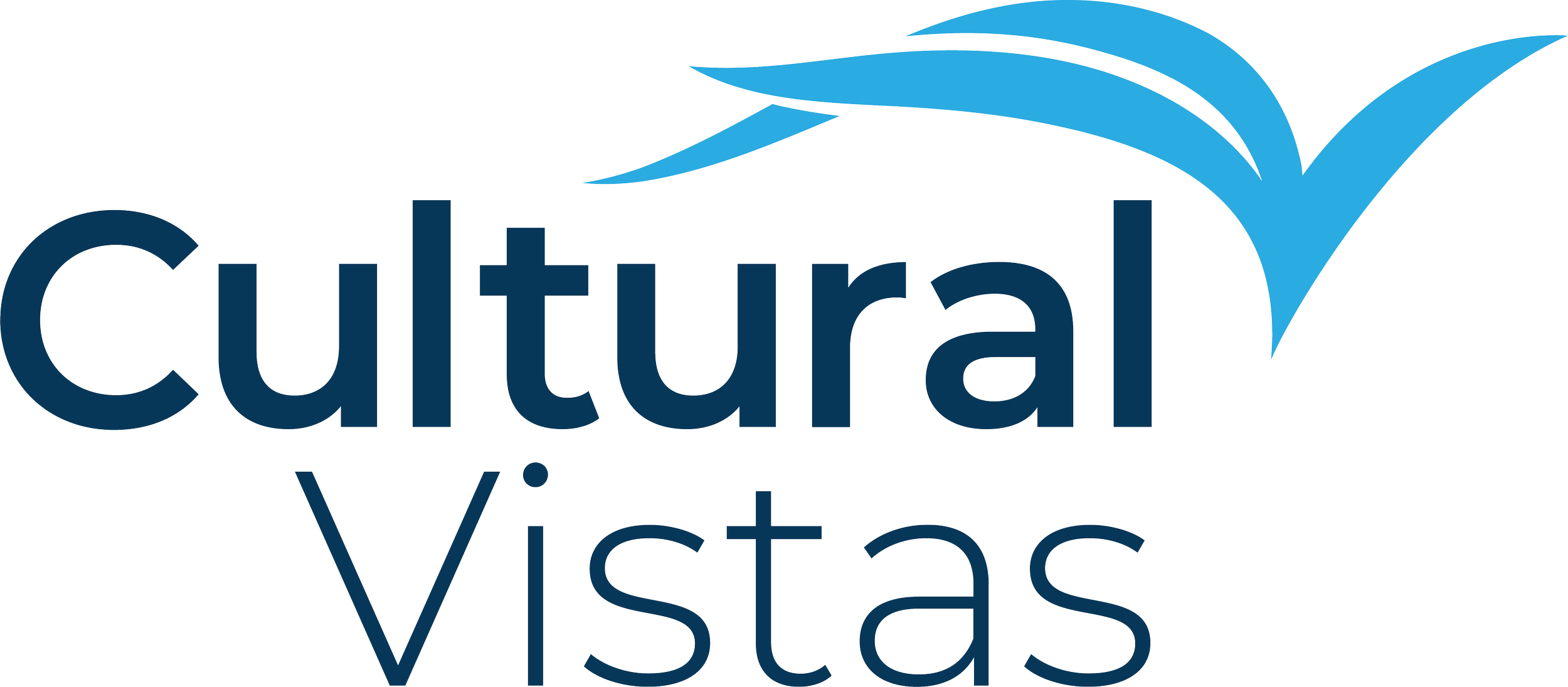 Director of Learning & Impact, Cultural Vistas