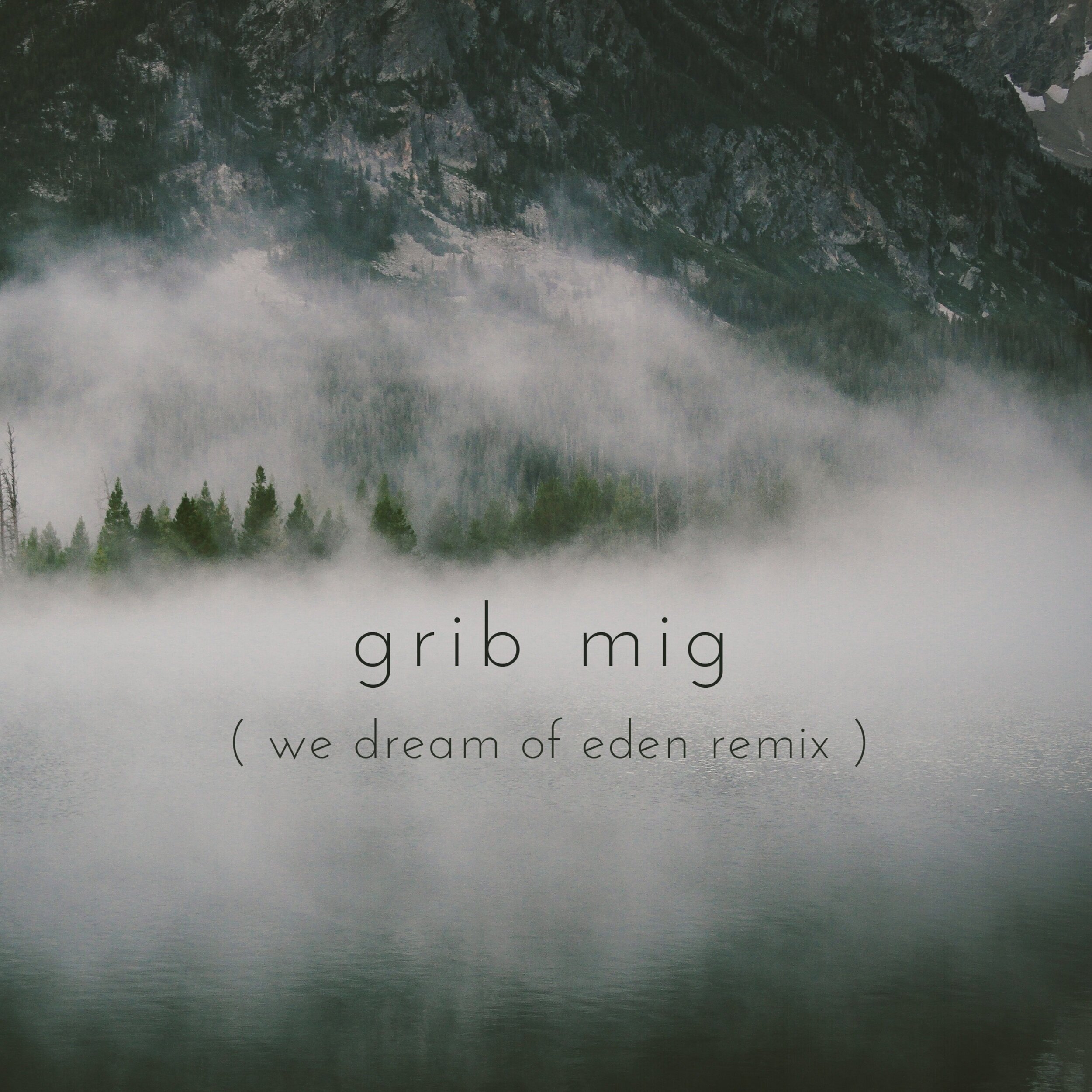 Grib Mig Remix (2019)