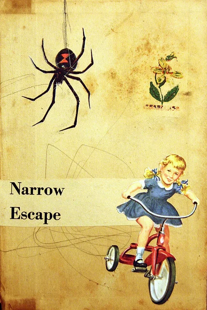 Narrow Escape