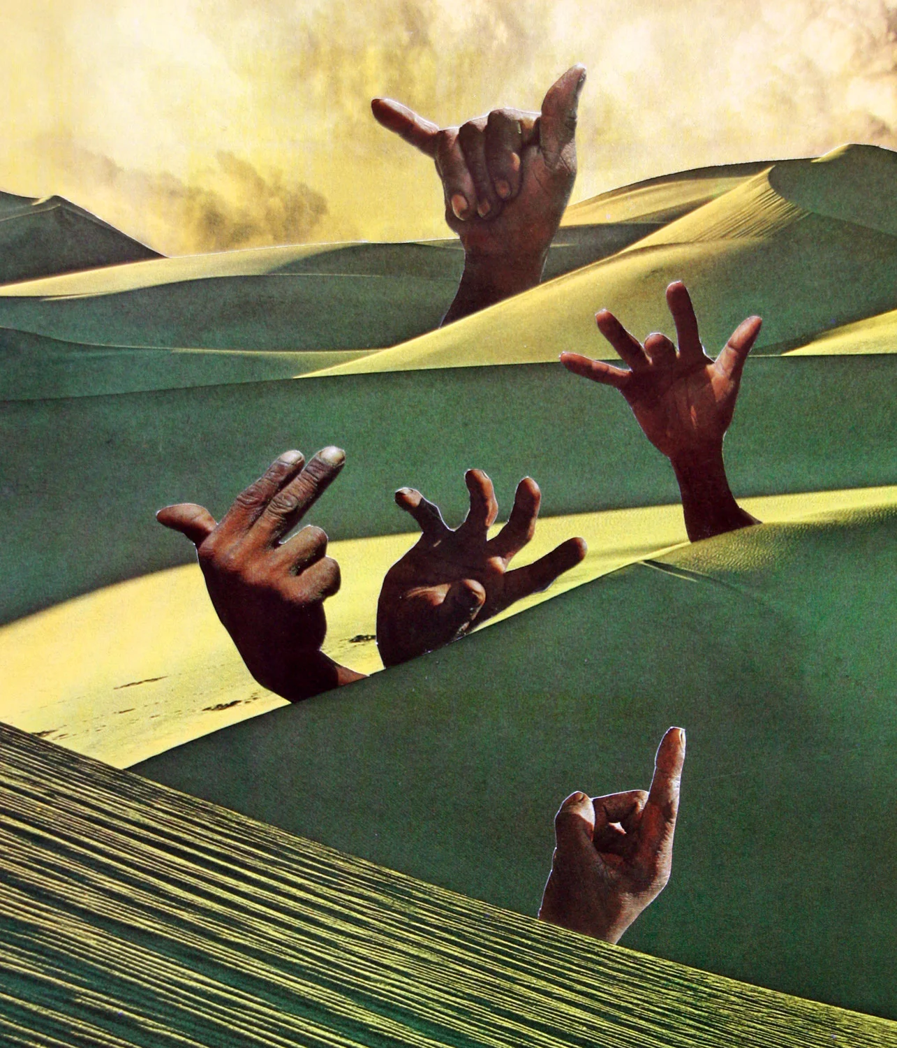 Sign Language II