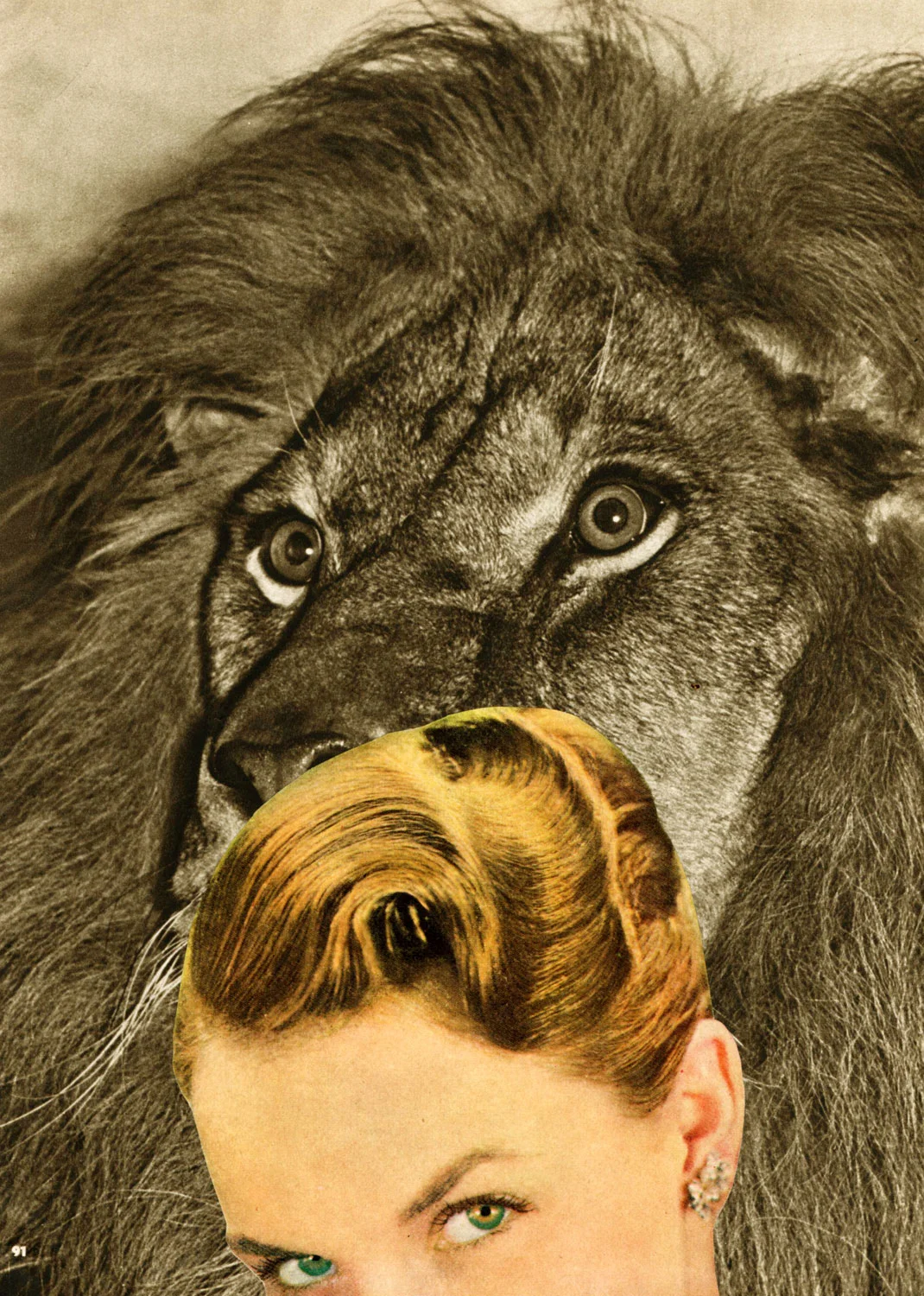 Animal Kingdom II
