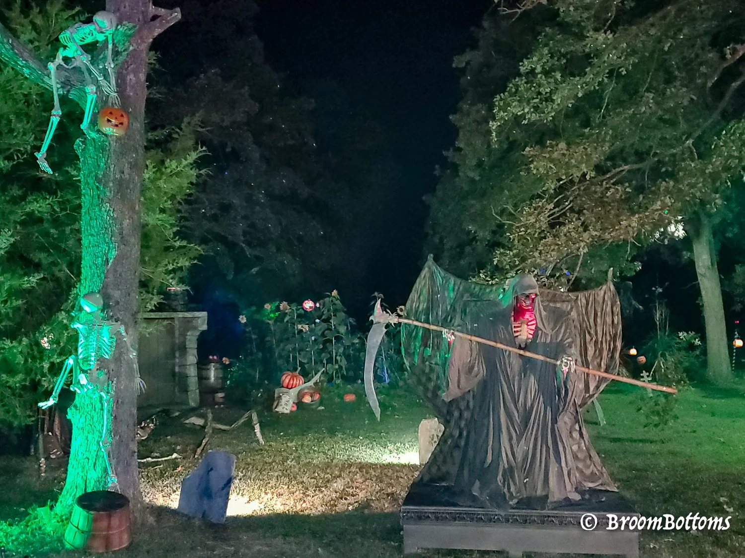 BroomBottoms 1500-139.jpg