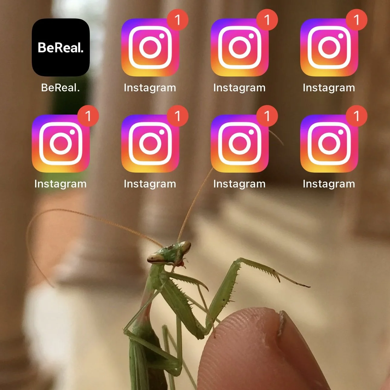 Can BeReal’s Pure Intensions Make it Profitable?