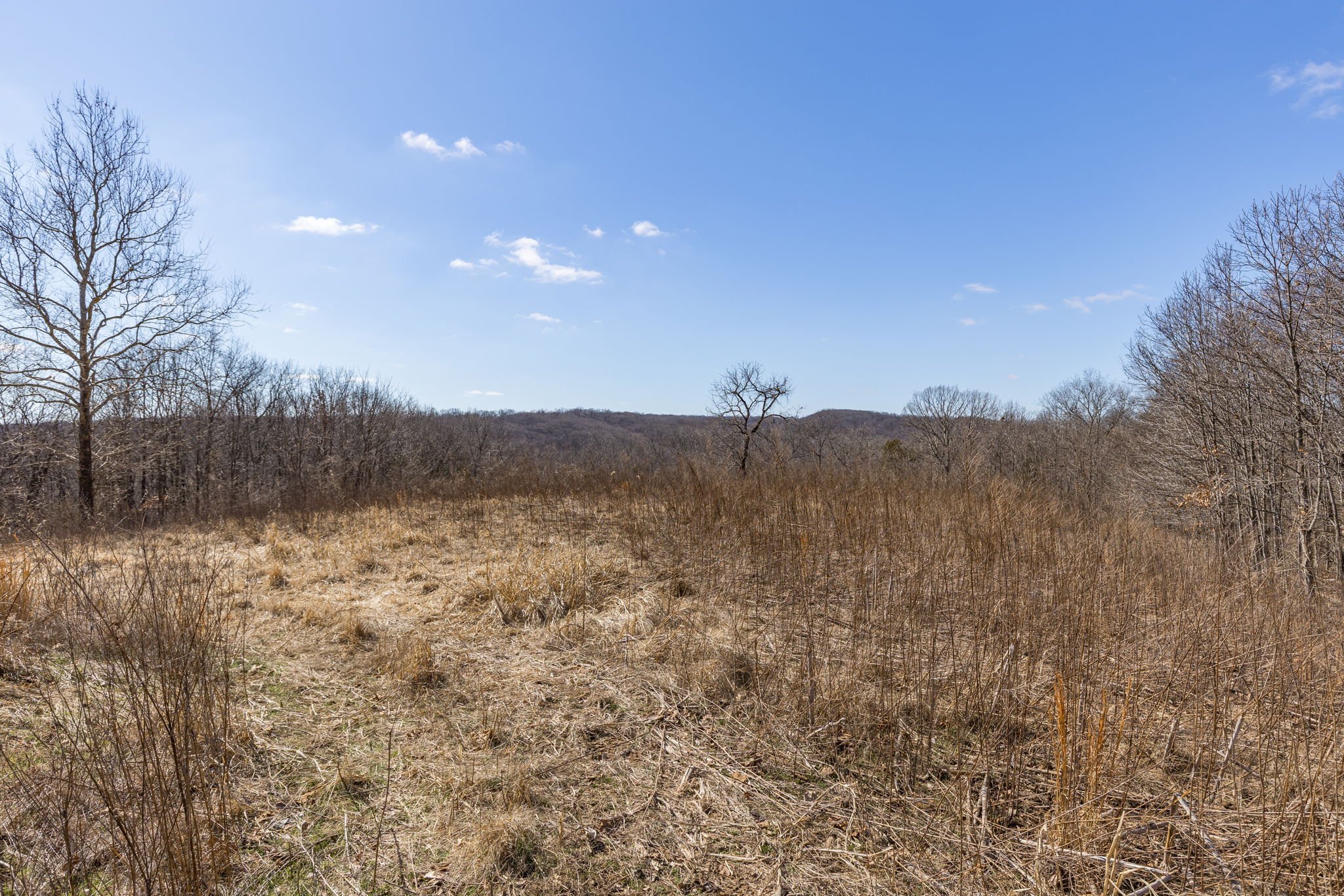 2-web-or-mls-002 - New Ortenau Rd, Ste. Genevieve.jpg