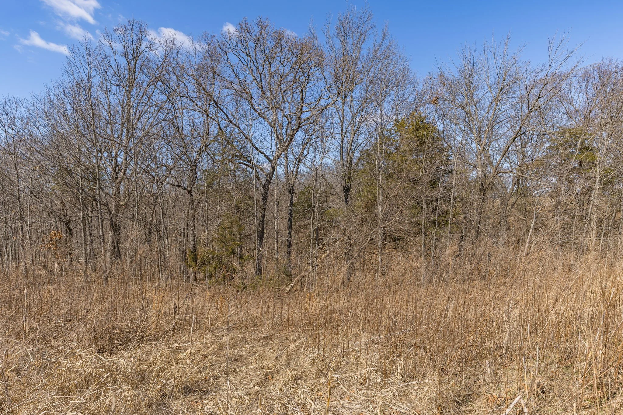 5-web-or-mls-005 - New Ortenau Rd, Ste. Genevieve.jpg