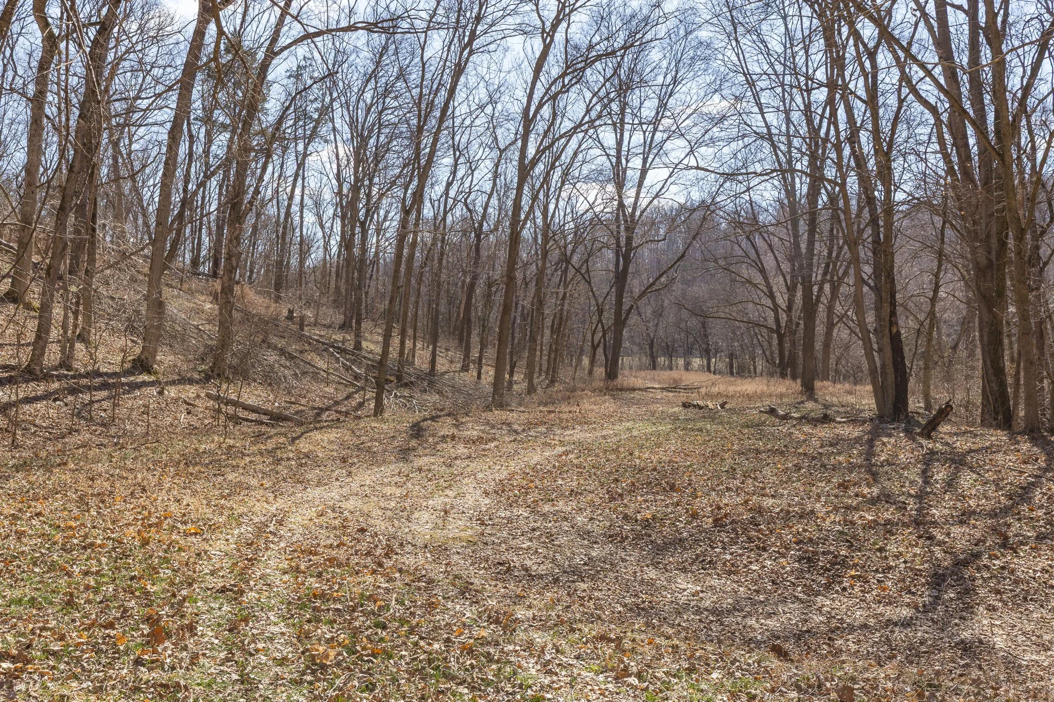 6-web-or-mls-006 - New Ortenau Rd, Ste. Genevieve.jpg