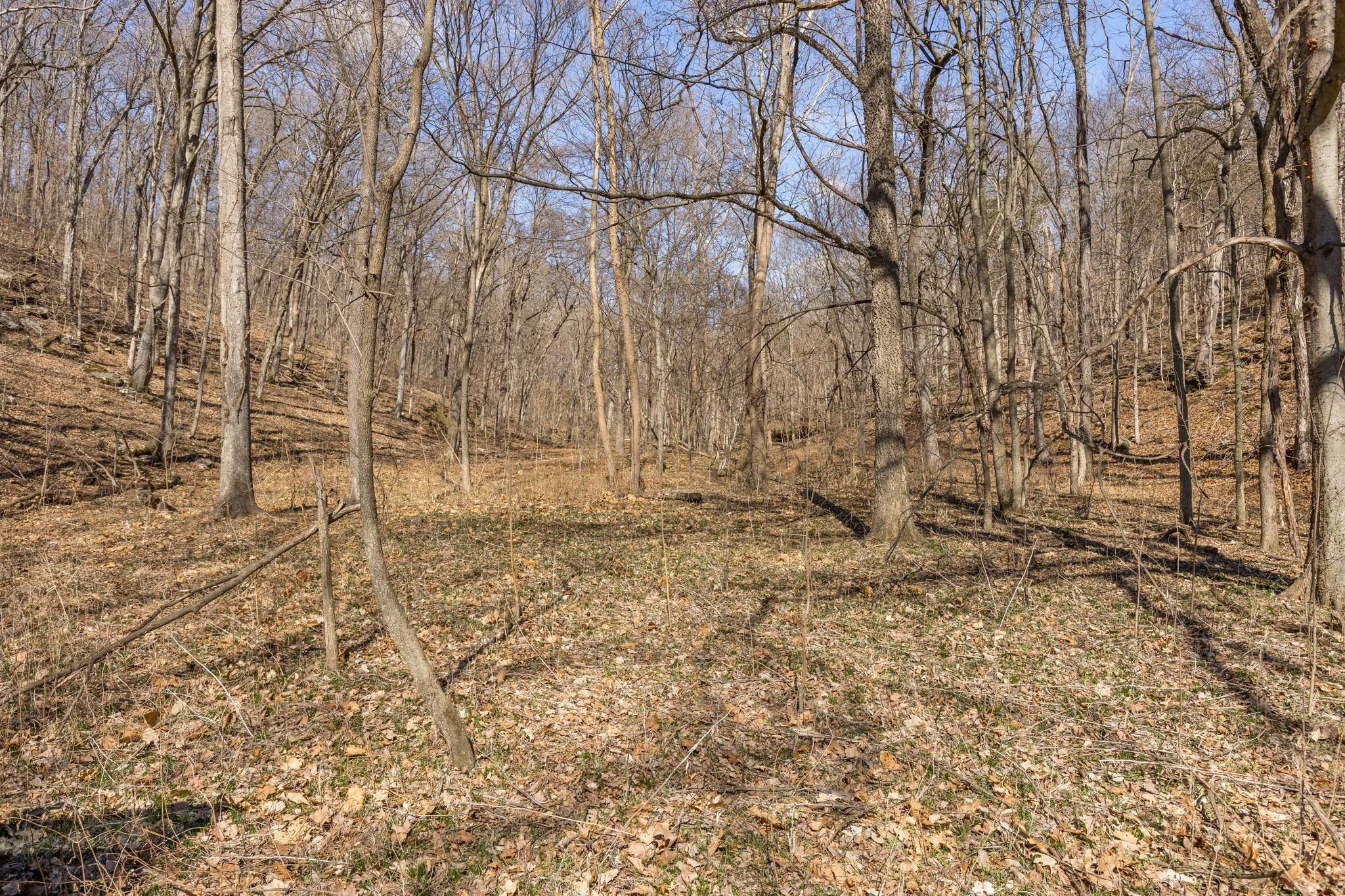 7-web-or-mls-007 - New Ortenau Rd, Ste. Genevieve.jpg