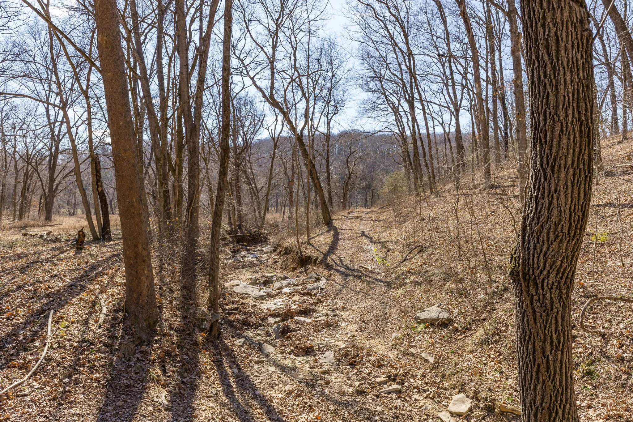 8-web-or-mls-008 - New Ortenau Rd, Ste. Genevieve.jpg