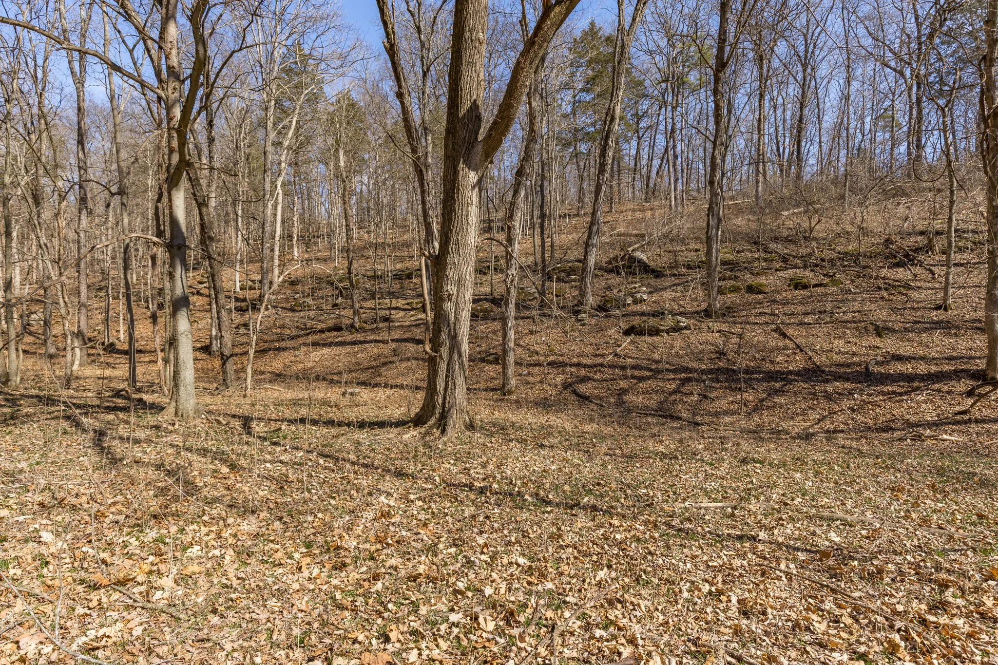 9-web-or-mls-009 - New Ortenau Rd, Ste. Genevieve.jpg