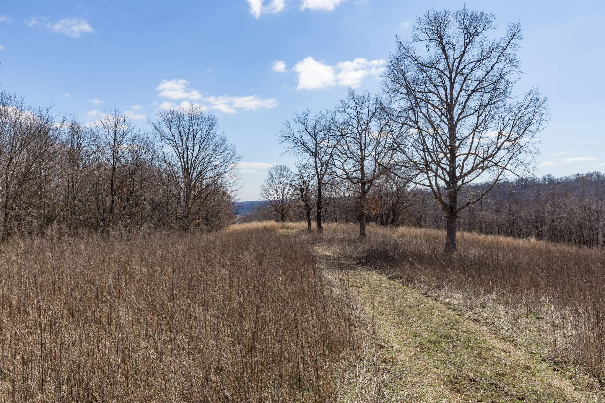 12-web-or-mls-012 - New Ortenau Rd, Ste. Genevieve.jpg