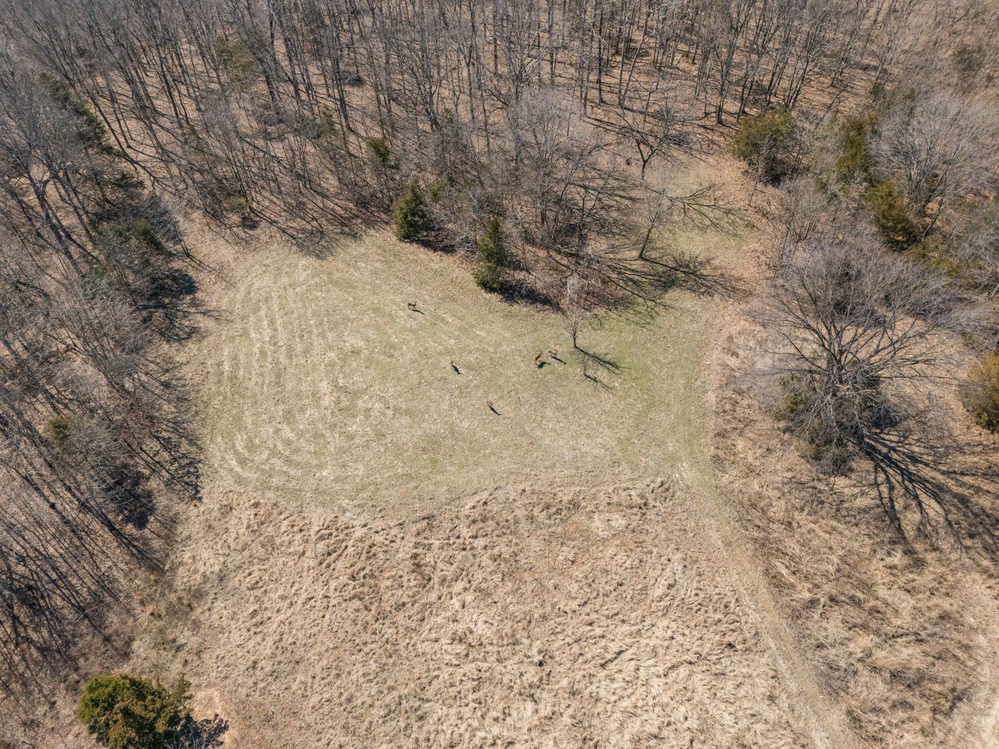 22-web-or-mls-022 - New Ortenau Rd, Ste. Genevieve.jpg