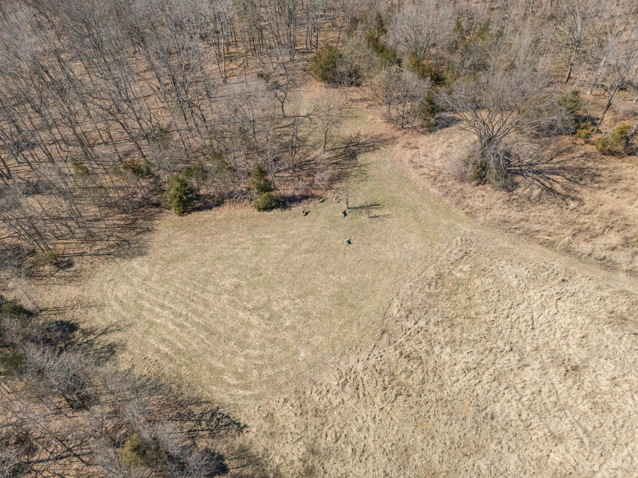 23-web-or-mls-023 - New Ortenau Rd, Ste. Genevieve.jpg