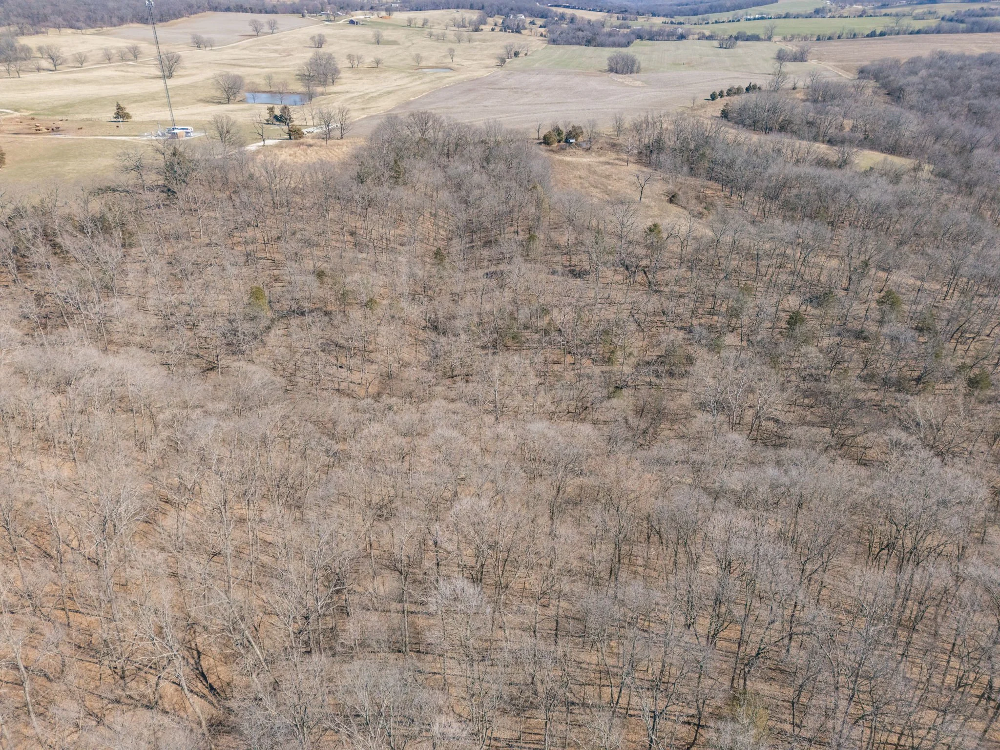 45-web-or-mls-045 - New Ortenau Rd, Ste. Genevieve.jpg