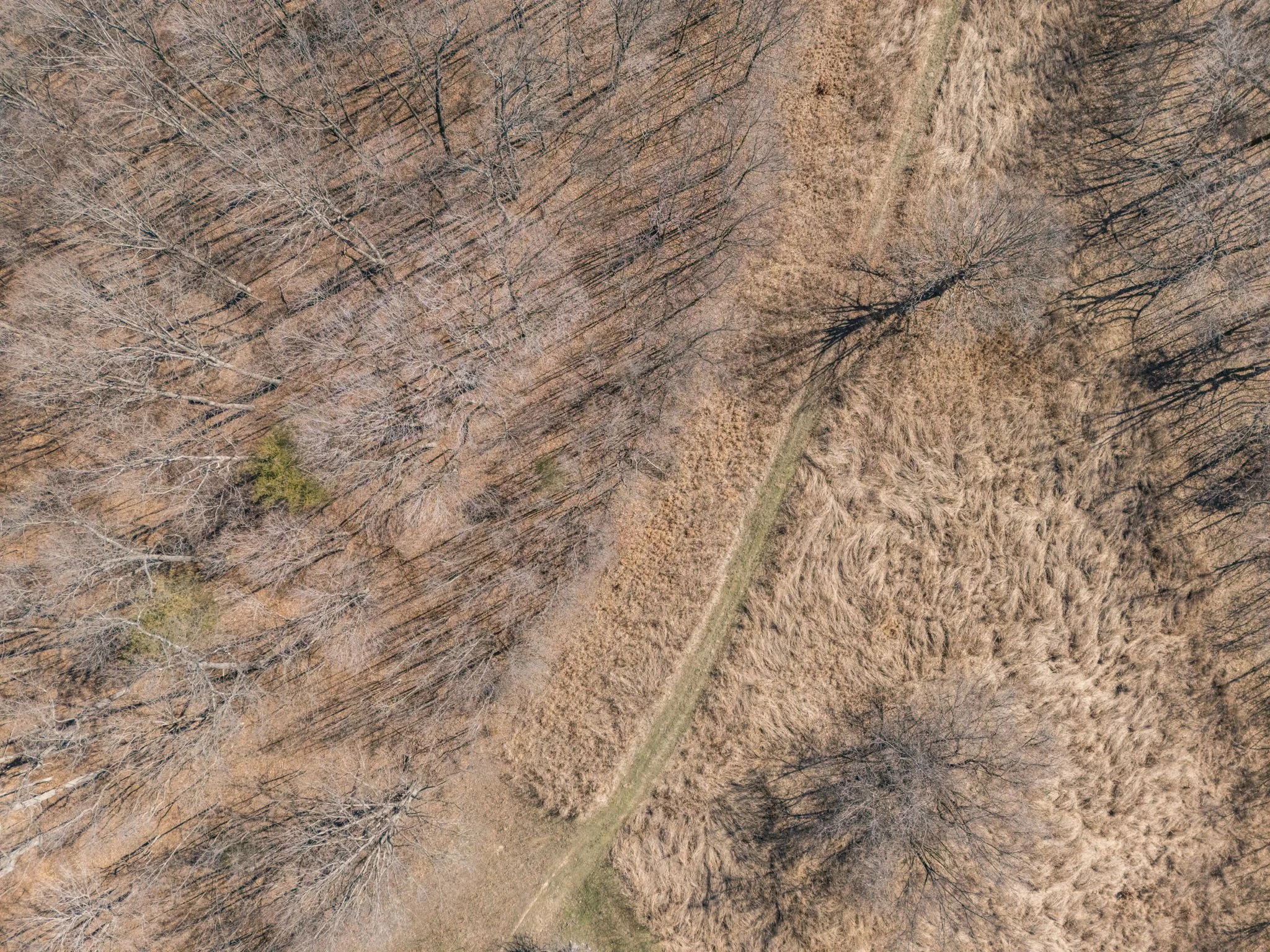 46-web-or-mls-046 - New Ortenau Rd, Ste. Genevieve.jpg