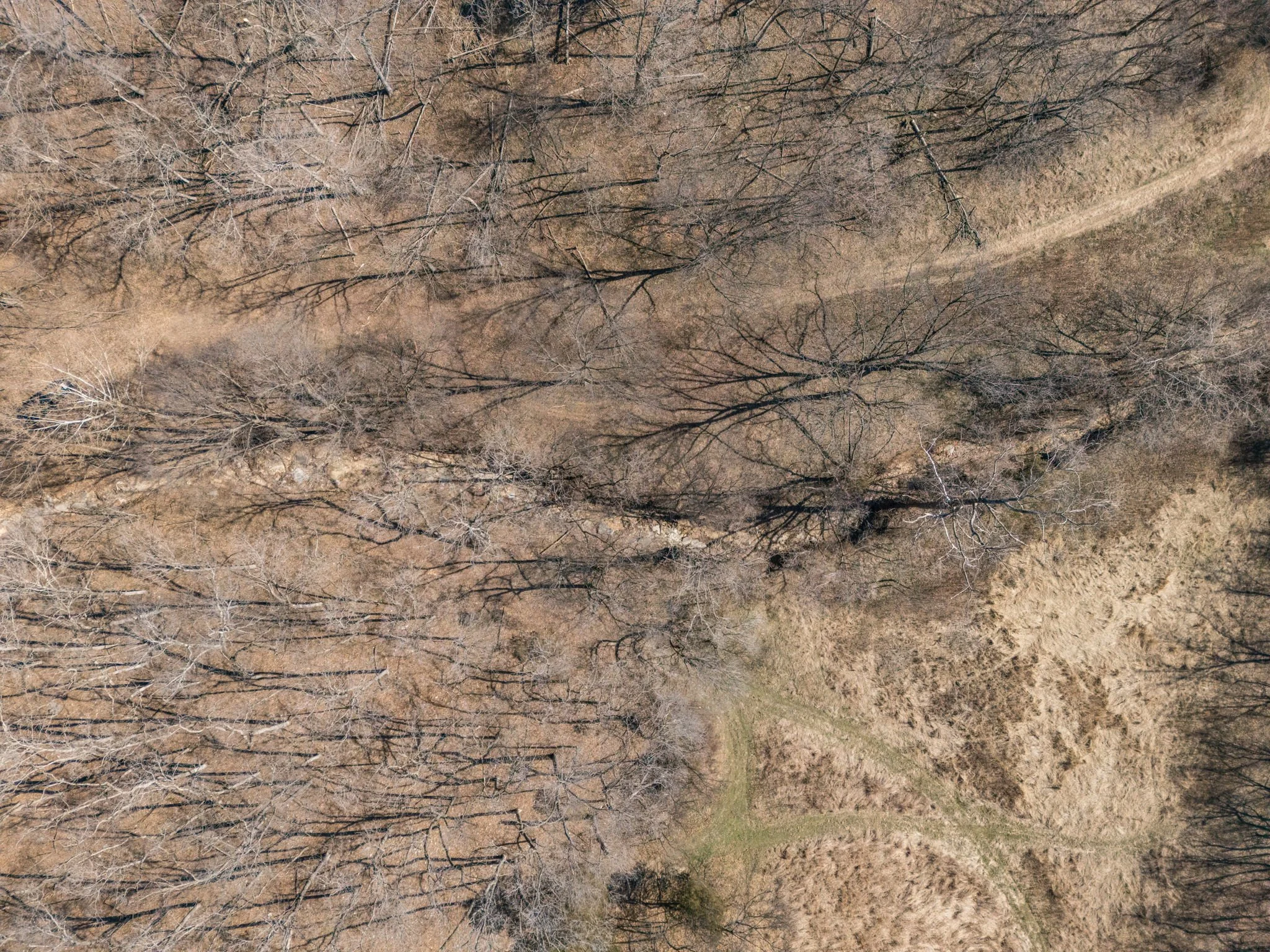 47-web-or-mls-047 - New Ortenau Rd, Ste. Genevieve.jpg