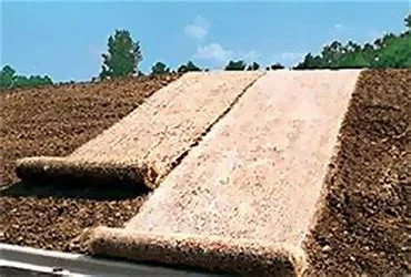 straw matting.jpg