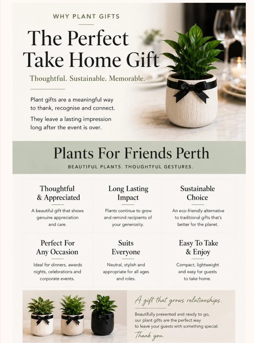 beautiful plant gifts for events and corporate occasions