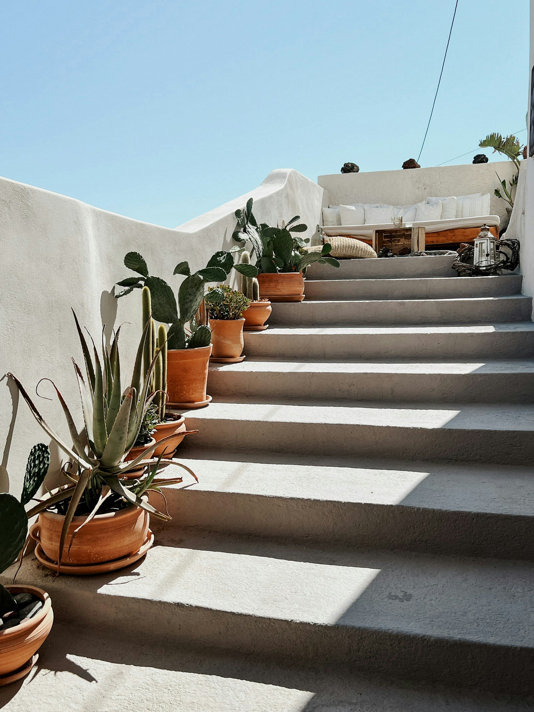 5 Reasons To Love Terracotta Pots and How To Use Them