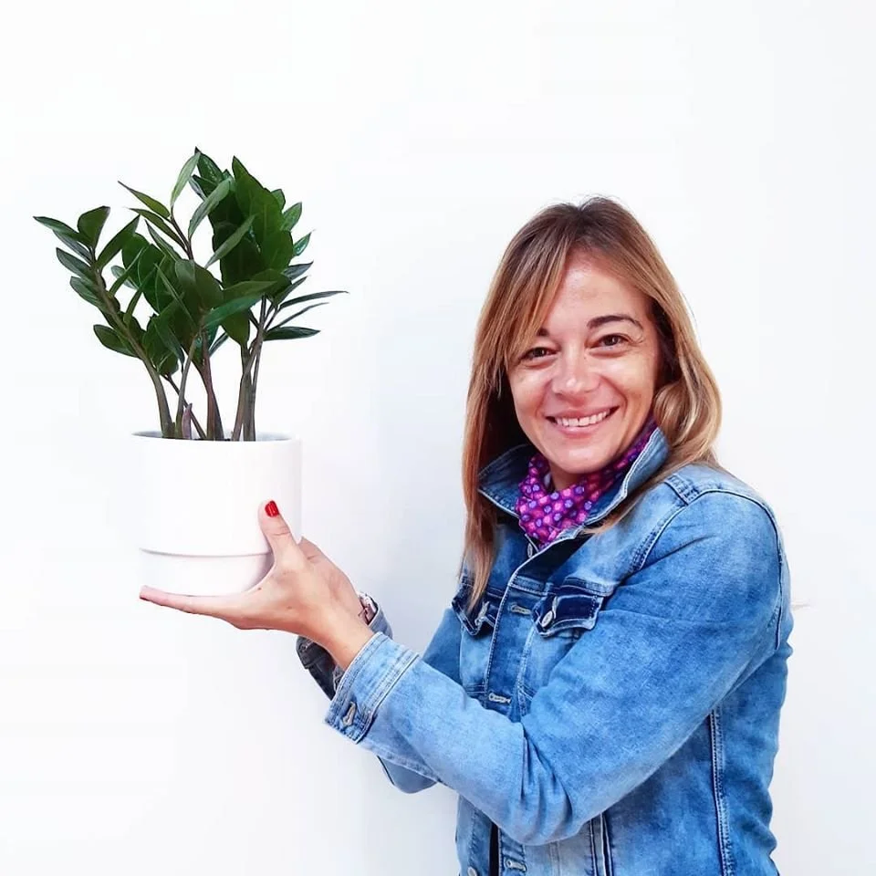 zzplant.jpg