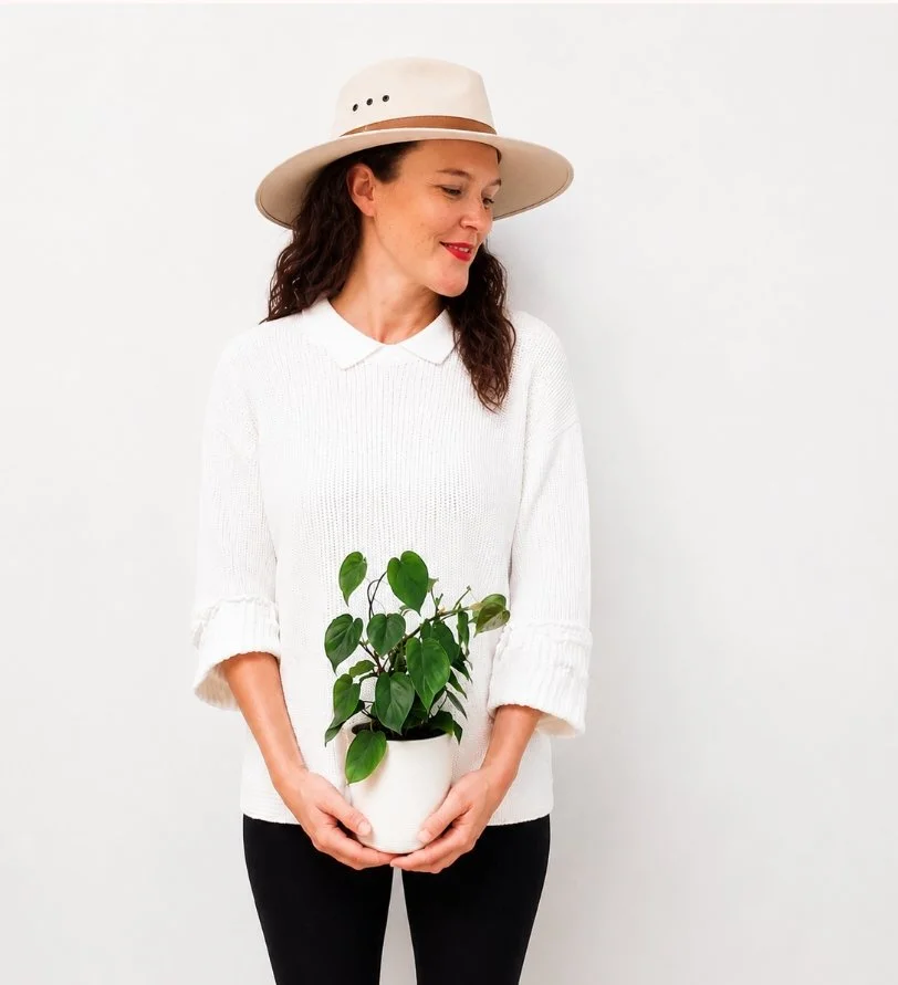 Heart Leaf Philodendron Potted | Perth Delivery