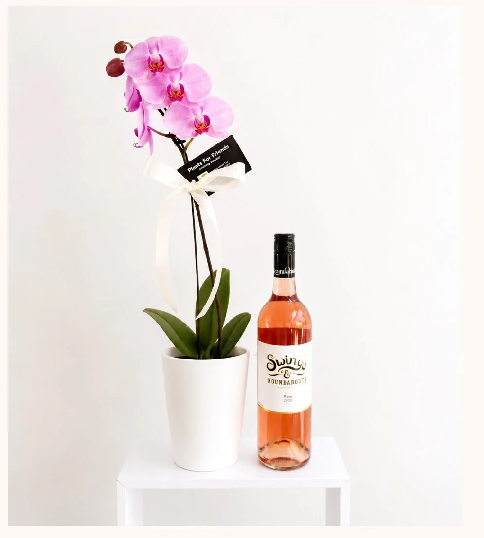 Sip & Bloom ~ The Orchid & Wine Set | Perth Delivery