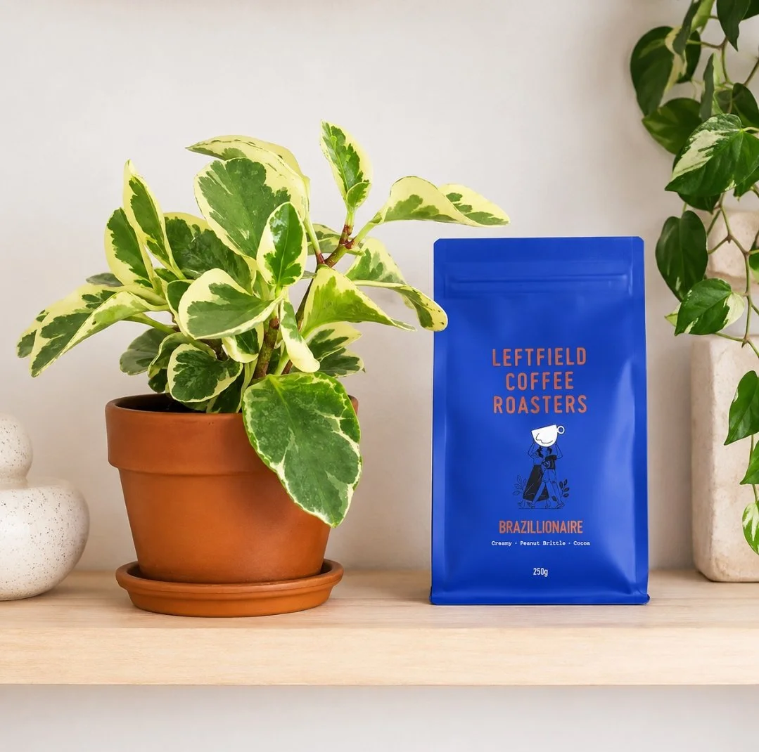 Potted plant gift and premium local coffee Perth delivery