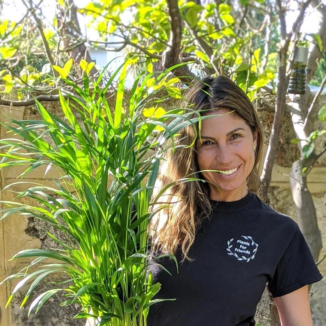 Ready for a plant nursery road trip in Perth, W.A. ? Here are our favourites!