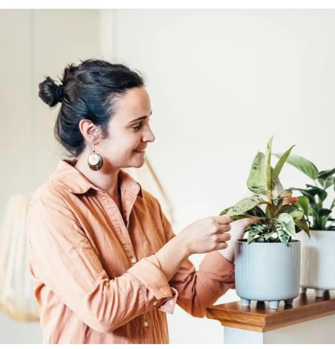 Easy-To-Follow Plant Care Tips And Tricks