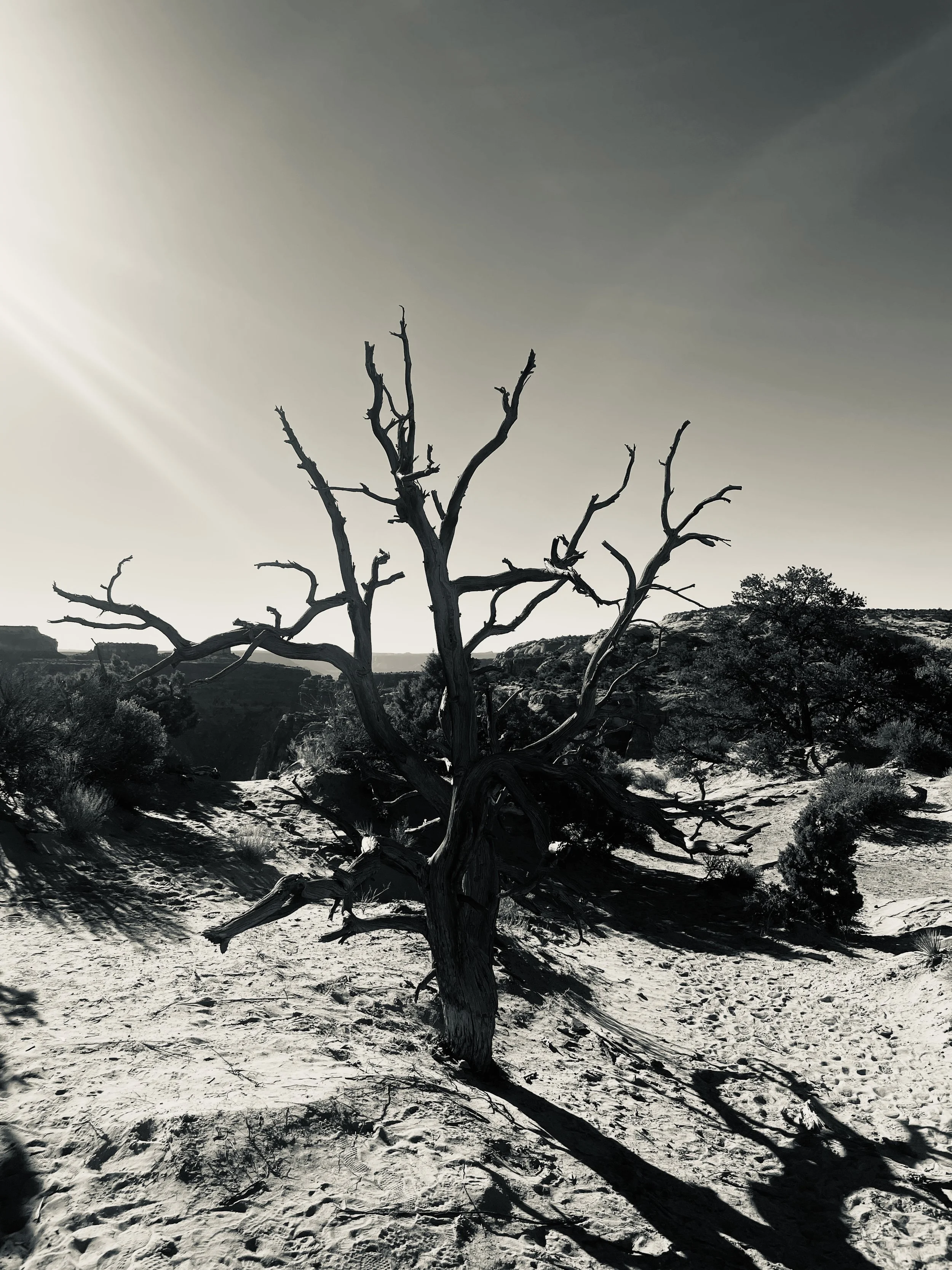 Christmas is not Jesus' Birthday