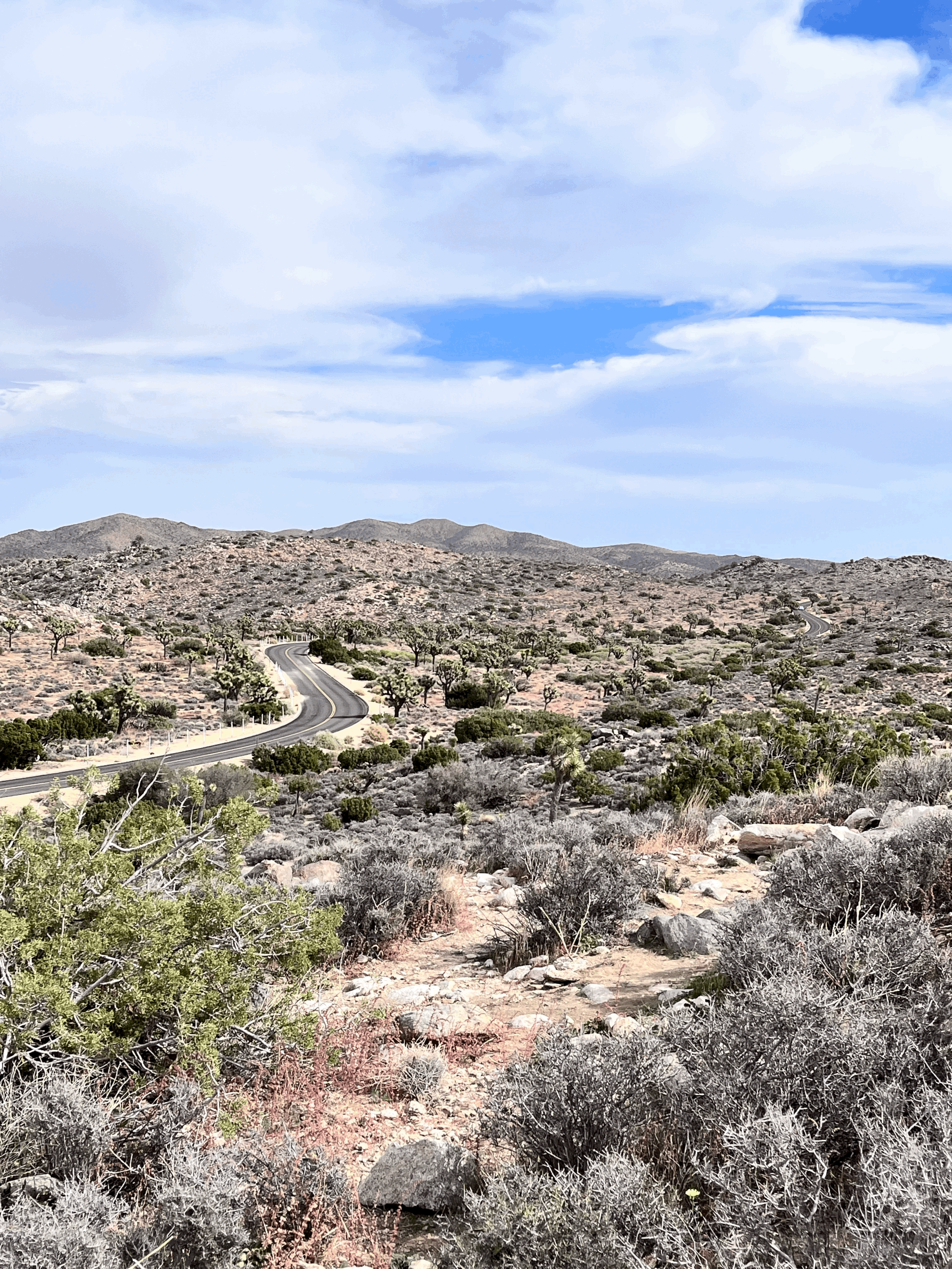 Suffering for Christ