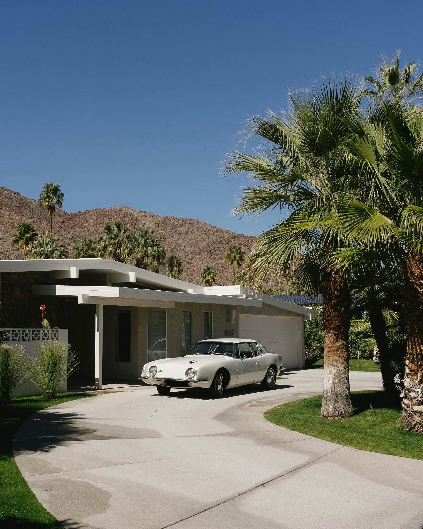 A Palm Springs postcard 📸