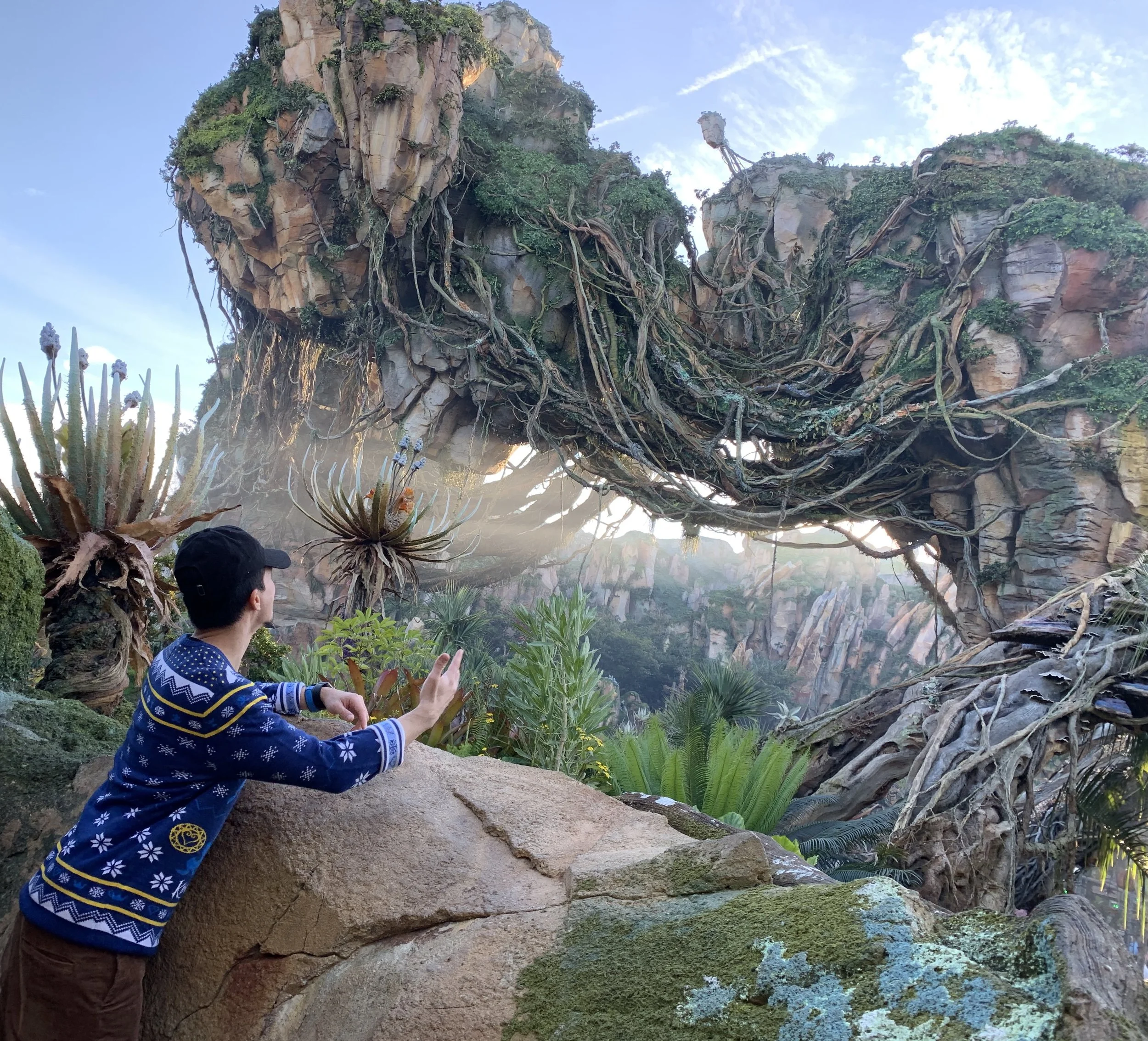Epic views of Pandora during golden hour