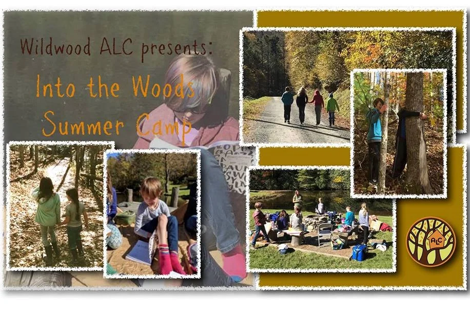 Wildwood+Summer+Camp+Image.jpg