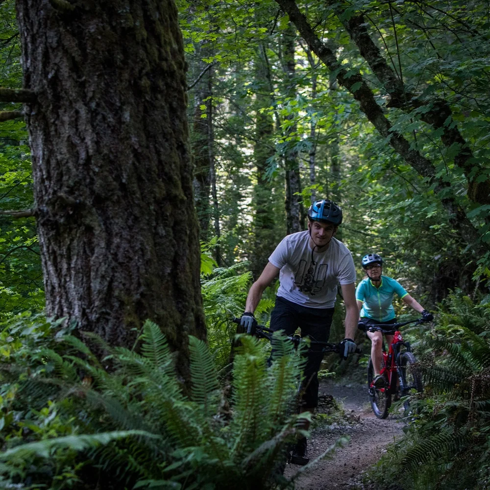 mtb101-teambuildig-corproate-event.jpg