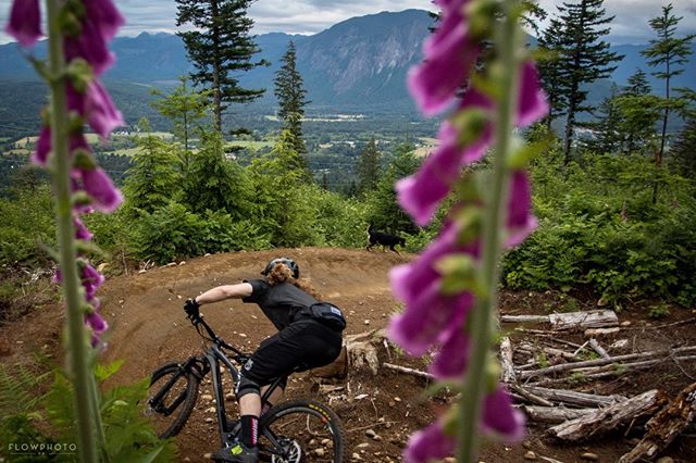Known by some locals as the "Town Berm", high above North Bend. This fast right hander provides jaw dropping views of Mt. Si as you let the wheels roll.
.
.
.
#whatsyourcompass #rideyourbike