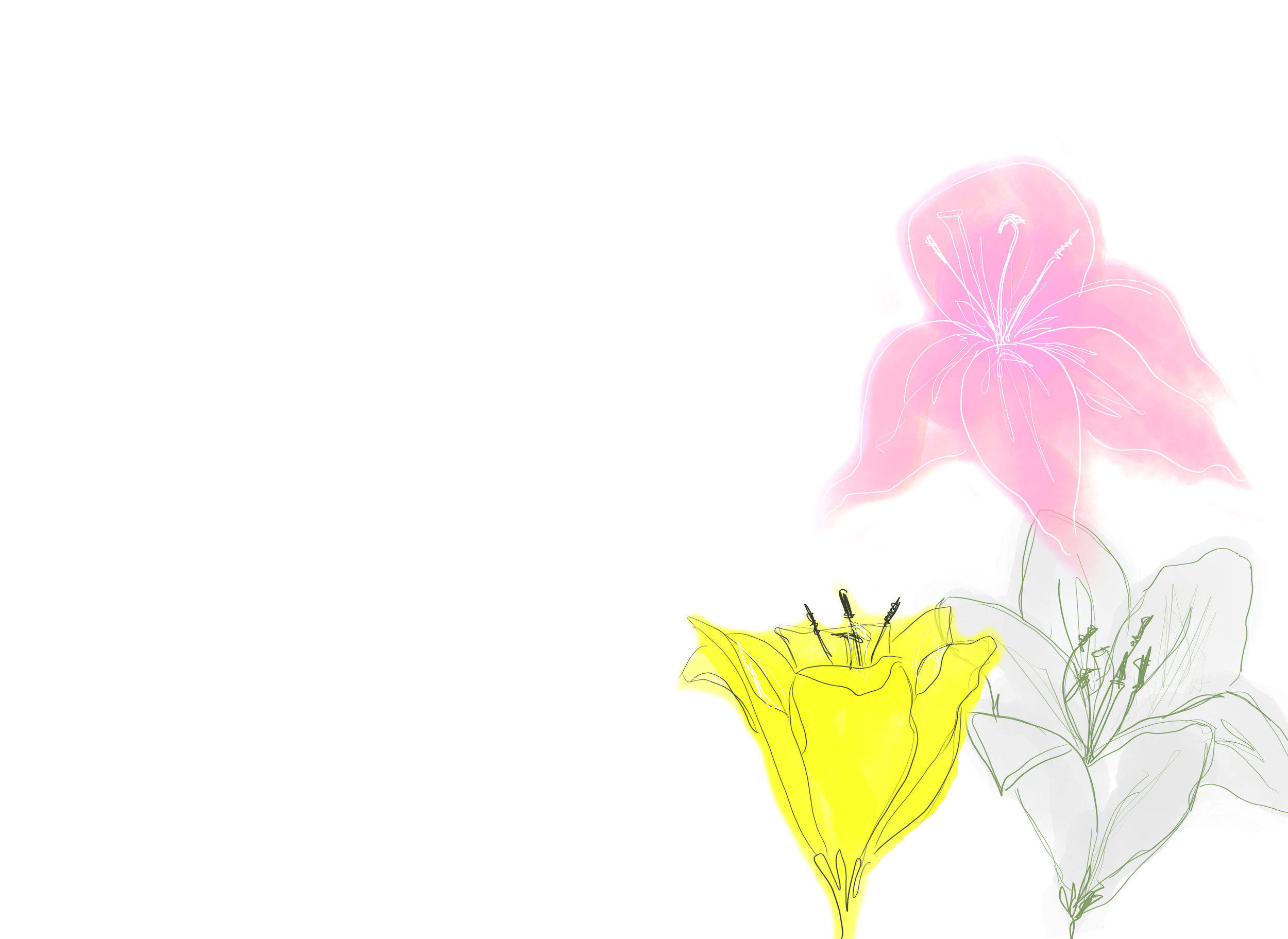 fleur-pink-2.png