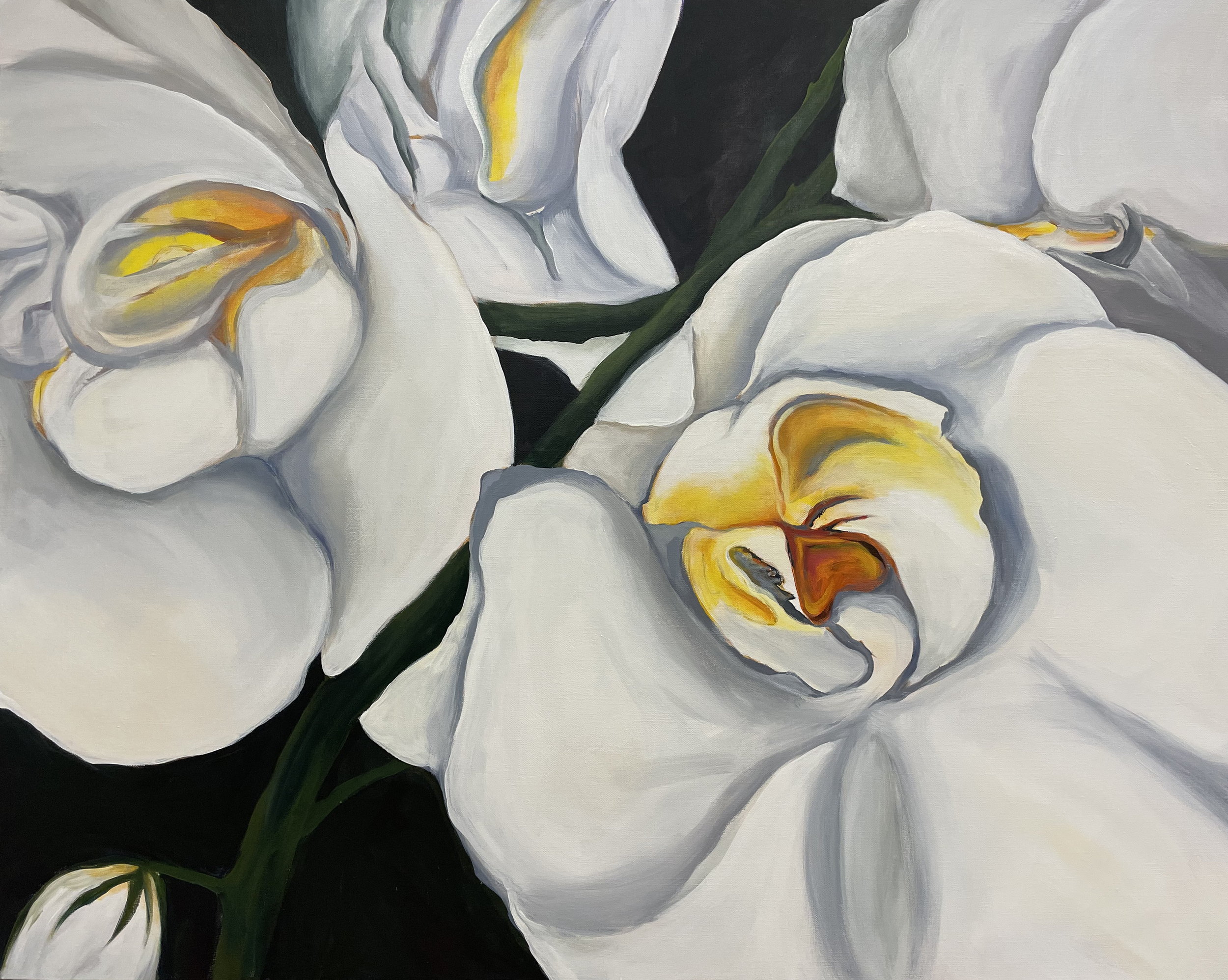 White Orchid Painting.jpg