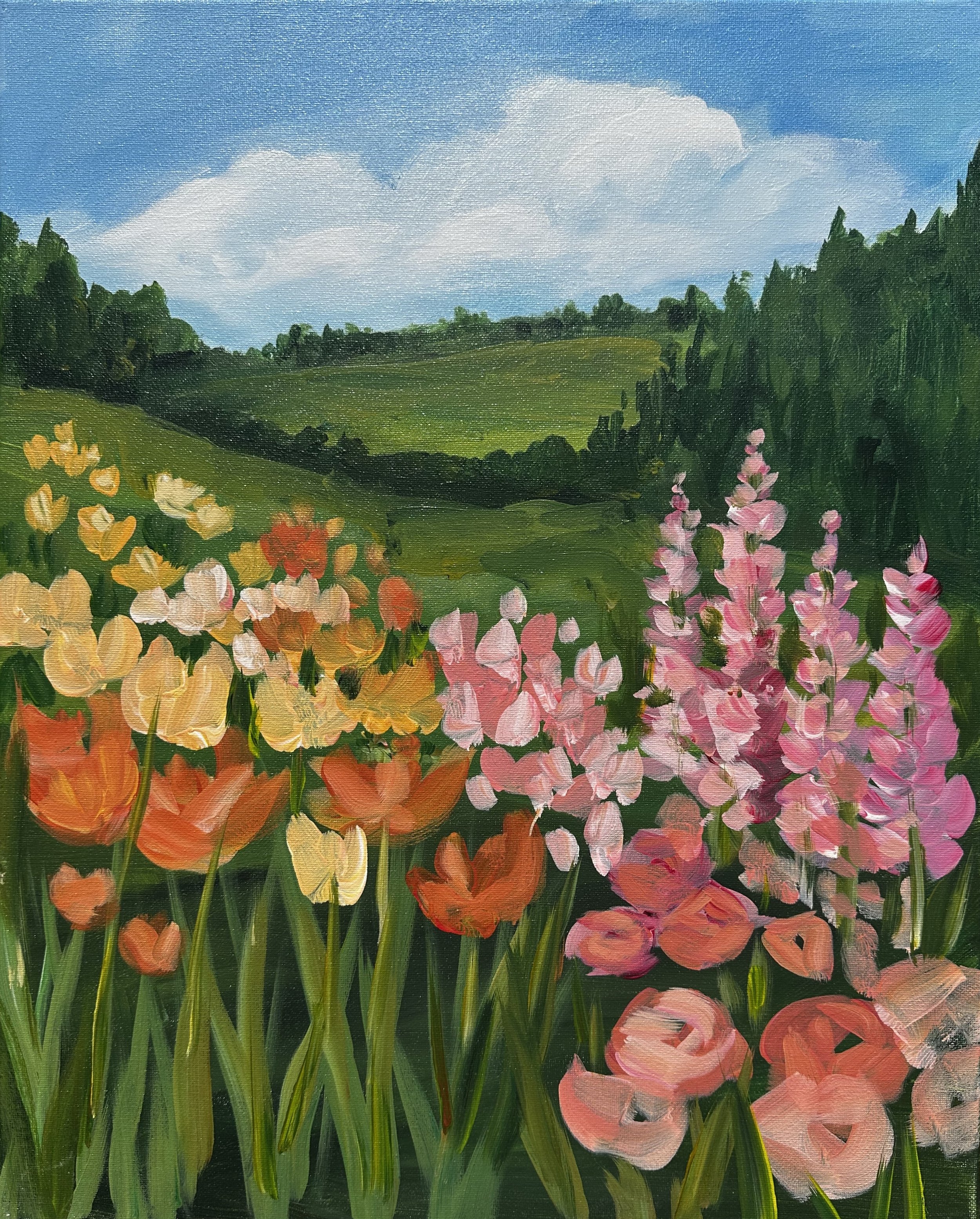 Beyond the meadows.jpg