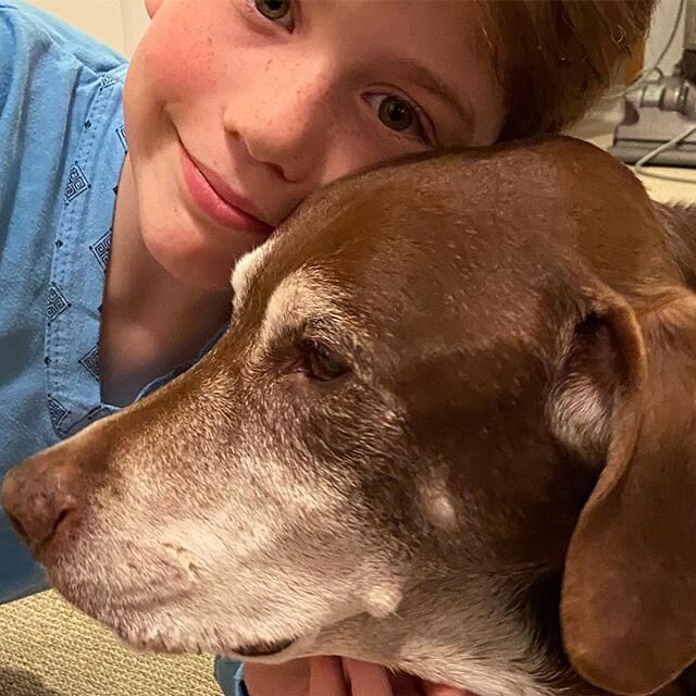 My guy, Dani, turned 14 (98 in dog years) today. I am thankful for every moment.