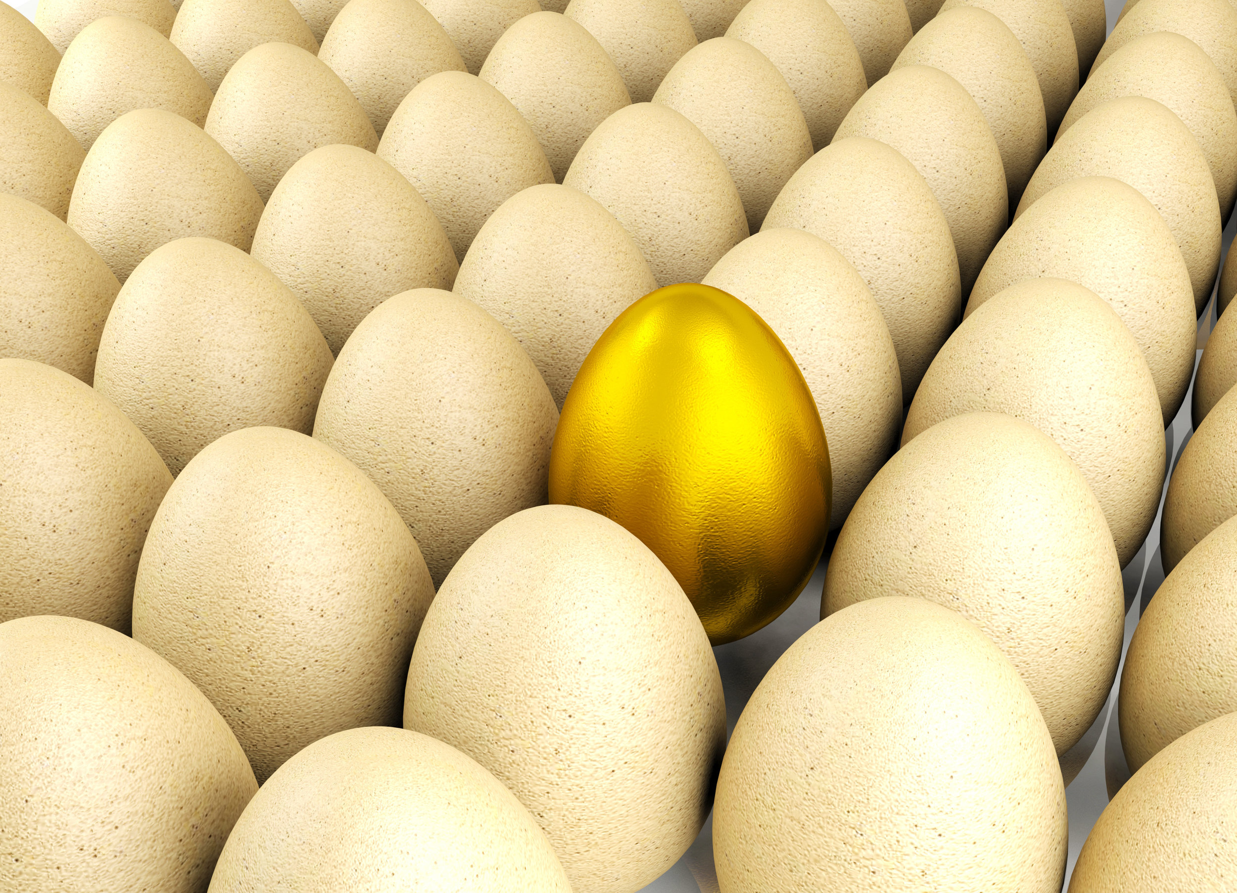 golden egg final.jpeg