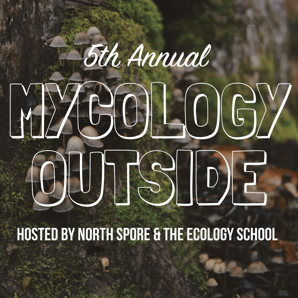 North Spore Mycology Outside : Mycelial Wisdom for Grief, Healing, and Integration