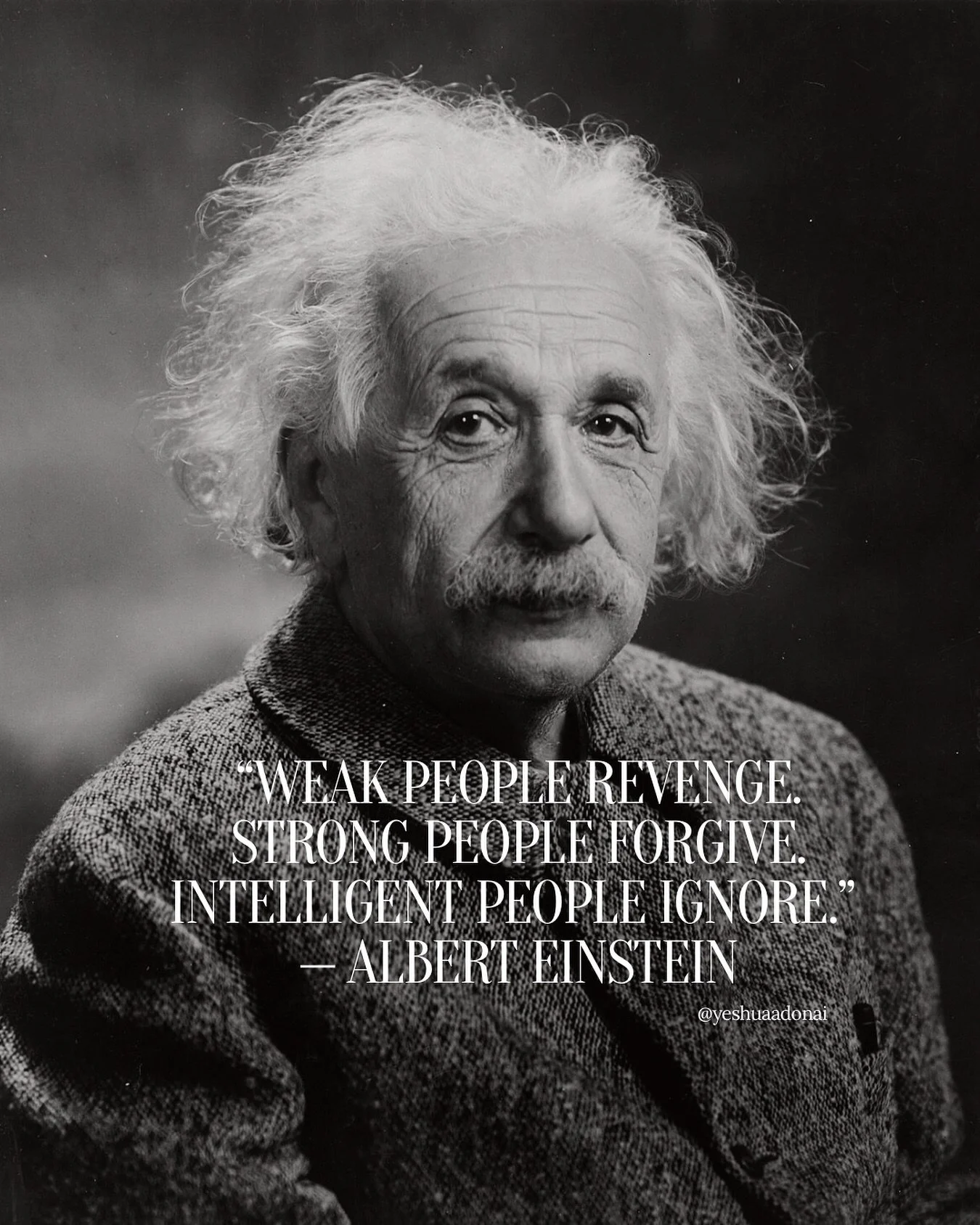 &ldquo;Weak people revenge. Strong people forgive. Intelligent people ignore.&rdquo; &mdash; Albert Einstein

The path of wisdom is not in struggle but in spaciousness. Revenge binds us to the chain. Forgiveness releases the heart. True intelligence 